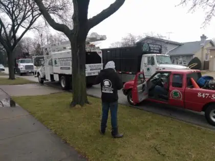 tree removal trucks