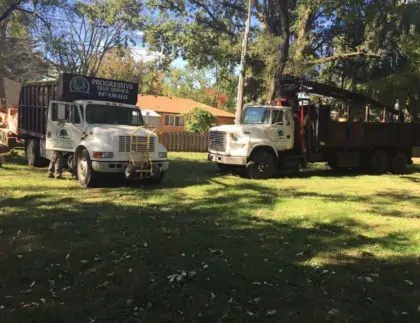 Tree Care Trucks