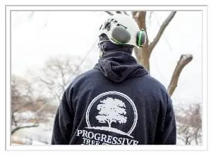 progressive tree service worker