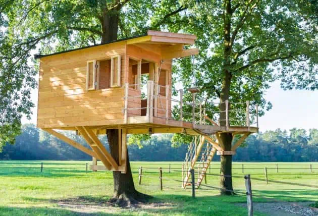 Tree House In Oak Trees